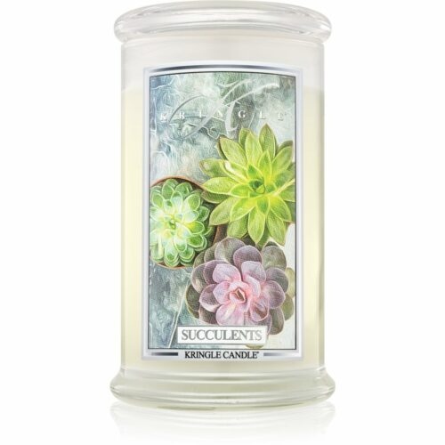 Kringle Candle Succulents vonná svíčka
