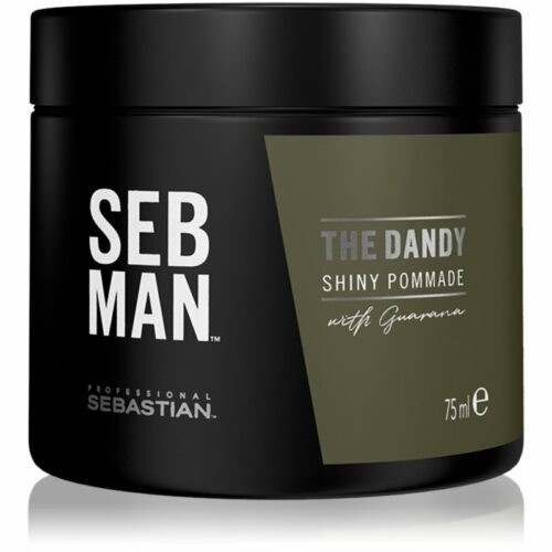 Sebastian Professional SEB MAN The Dandy pomáda na vlasy pro