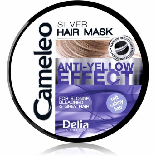 Delia Cosmetics Cameleo Silver maska na vlasy