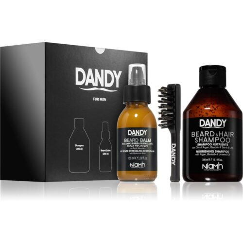 DANDY Beard gift box dárková